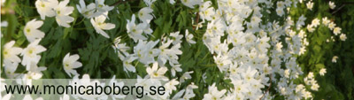 Bookmark 330-58-A